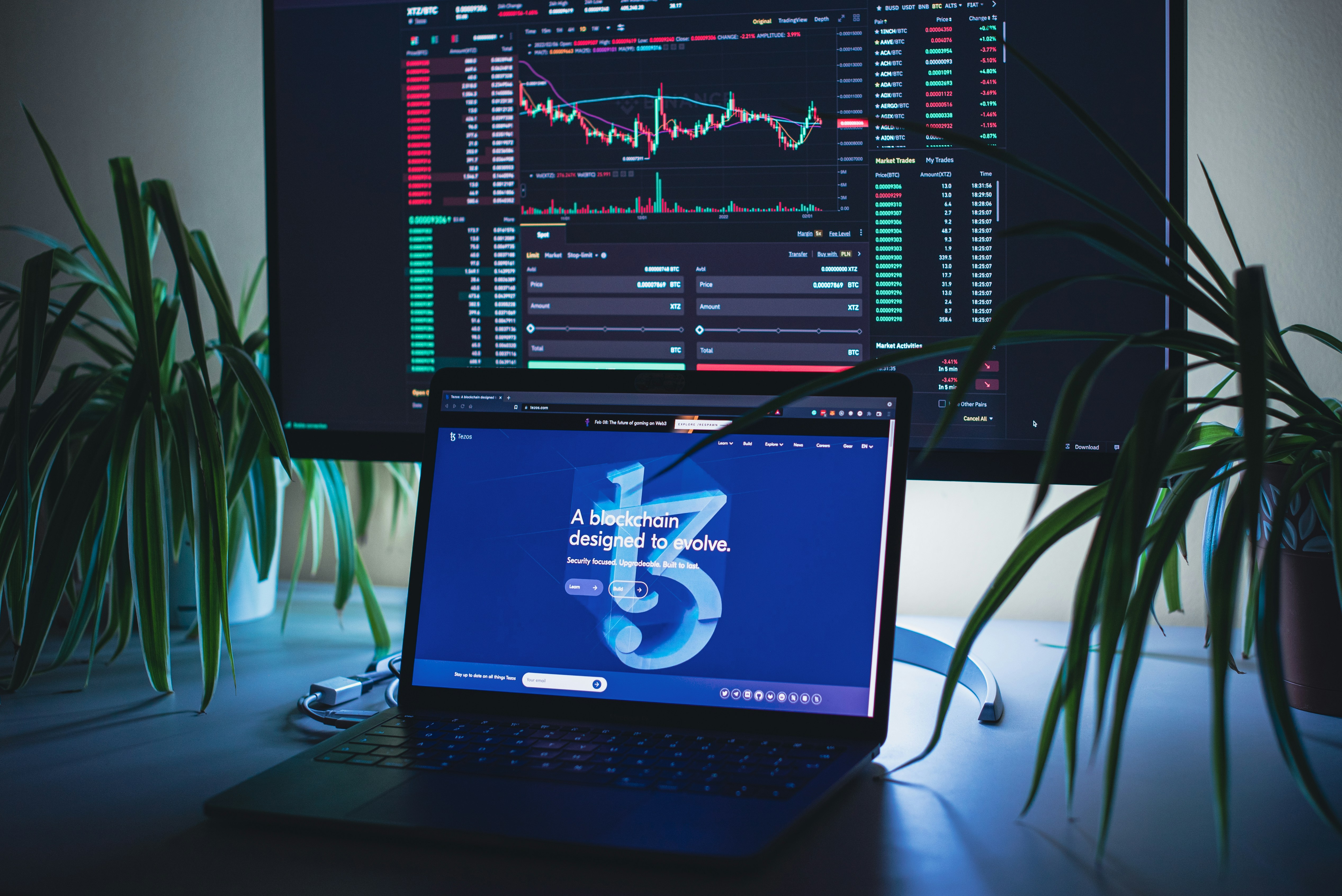 Blockchain Technology: A Complete Guide to Understanding the Future of Digital Innovation